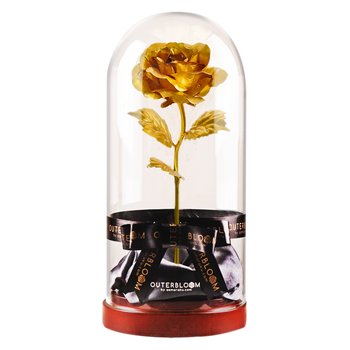 Enchanted Dome - Gold