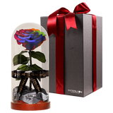 Enchanted Dome - Magic Rainbow