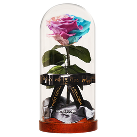 Enchanted Dome - Pastel Rainbow