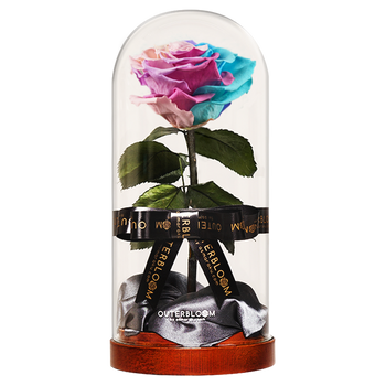 Enchanted Dome - Pastel Rainbow