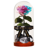 Enchanted Dome - Pastel Rainbow