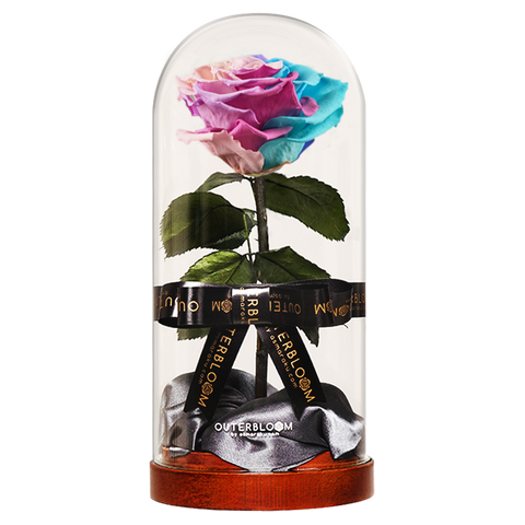 Enchanted Dome - Pastel Rainbow