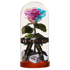 Enchanted Dome - Pastel Rainbow