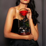 Enchanted Dome - Magic Rainbow