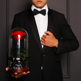 Enchanted Dome - Magic Rainbow