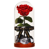 Enchanted Dome - Passionate Red