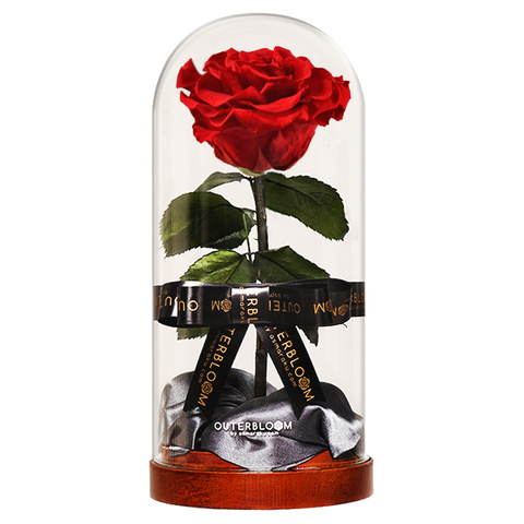 Enchanted Dome - Passionate Red