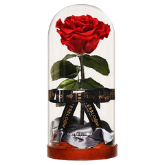 Enchanted Dome - Passionate Red