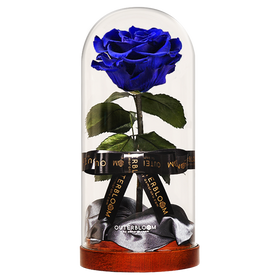 Enchanted Dome - Midnight Blue