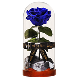 Enchanted Dome - Midnight Blue