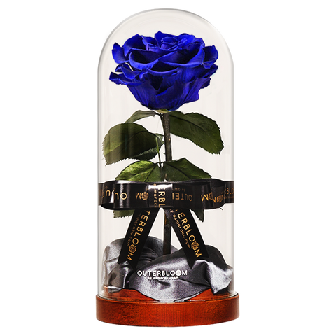 Enchanted Dome - Midnight Blue