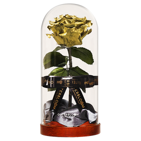 Enchanted Dome - Royal Gold