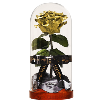 Enchanted Dome - Royal Gold