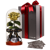 Enchanted Dome - Royal Gold