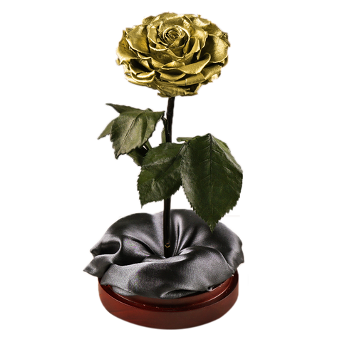 Enchanted Dome - Royal Gold