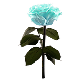 Enchanted Dome - Tiffany Blue