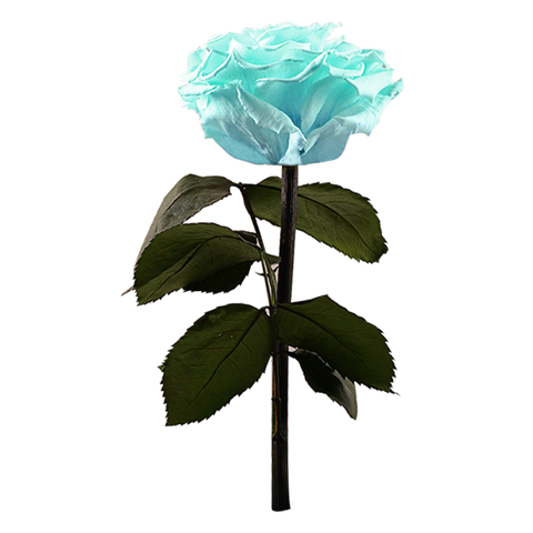 Enchanted Dome - Tiffany Blue