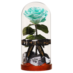 Enchanted Dome - Tiffany Blue