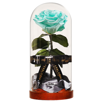 Enchanted Dome - Tiffany Blue