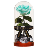 Enchanted Dome - Tiffany Blue