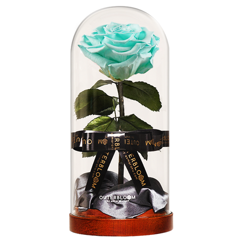 Enchanted Dome - Tiffany Blue