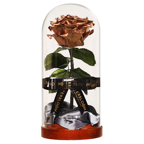 Enchanted Dome - Champagne Gold