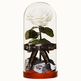 Enchanted Dome - Angelic White