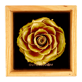 Heritage Box - Royal Gold