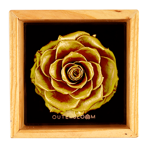 Heritage Box - Royal Gold