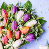 Hearty Assorted Tulip Hand Bouquet