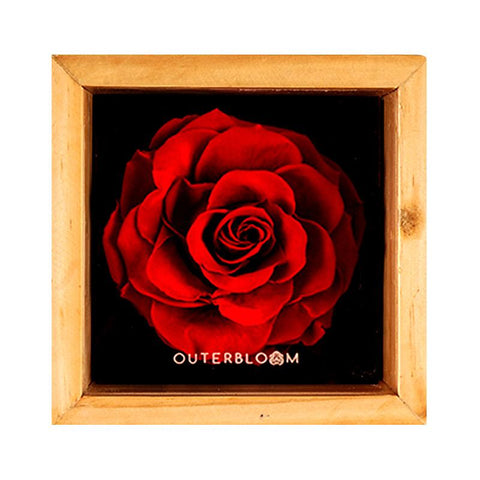 Heritage Box - Passionate Red