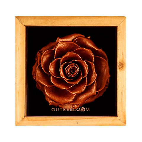 Heritage Box - Champagne Gold