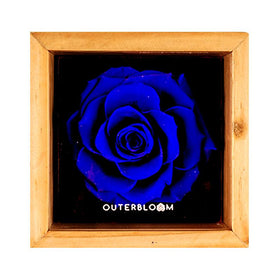 Heritage Box - Midnight Blue