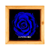 Heritage Box - Midnight Blue