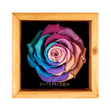 Heritage Box - Pastel Rainbow