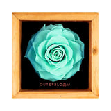 Heritage Box - Tiffany Blue