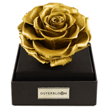 Astoria - Royal Gold