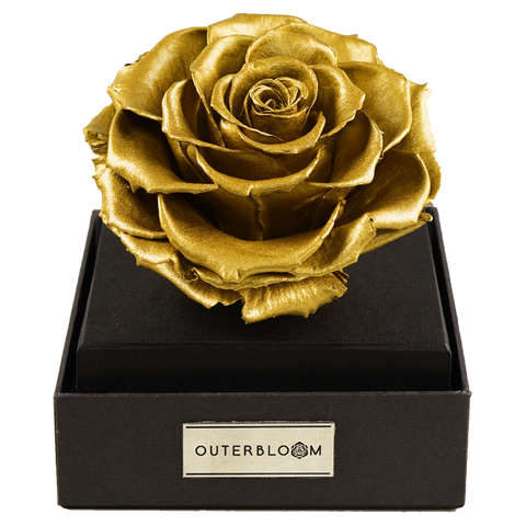 Astoria - Royal Gold