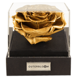 Astoria - Royal Gold