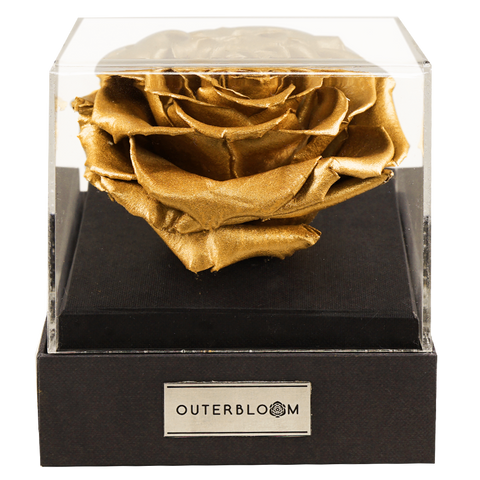 Astoria - Royal Gold