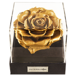 Astoria - Royal Gold