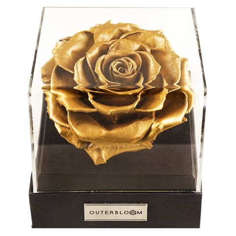 Astoria - Royal Gold