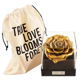 Astoria - Royal Gold