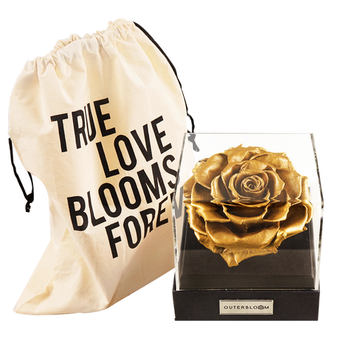 Astoria - Royal Gold