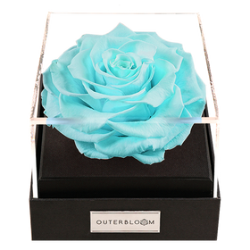 Astoria - Tiffany Blue