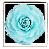 Astoria - Tiffany Blue