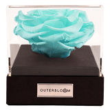 Astoria - Tiffany Blue