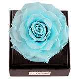 Astoria - Tiffany Blue