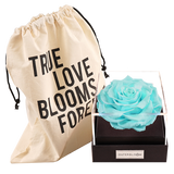 Astoria - Tiffany Blue