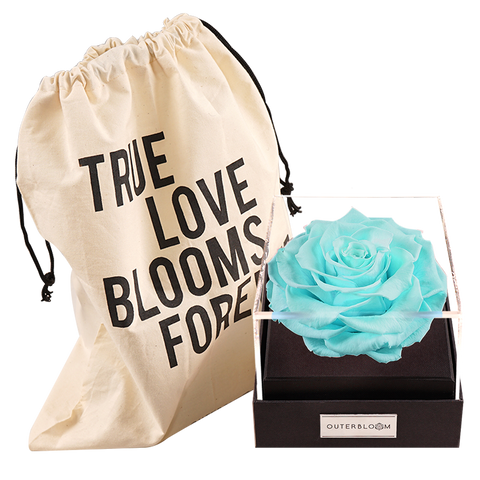 Astoria - Tiffany Blue